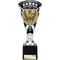 Cobra Star Cup Swimming Silver & Black