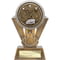 Apex Ikon Cycling Award Gold & Silver