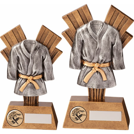 Xplode Martial Arts Award