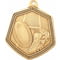 Falcon Rugby Medal