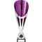 Rising Stars Deluxe Plastic Lazer Cup Silver & Purple