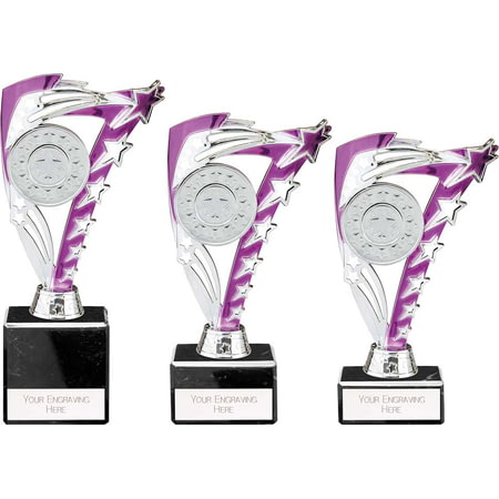 Frenzy Multisport Trophy Silver & Purple