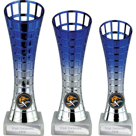 Leader Trophy Blue & Silver