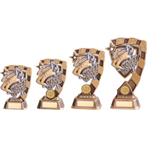 Euphoria Street Dance Award Male