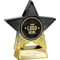 Superstar Award Black & Gold