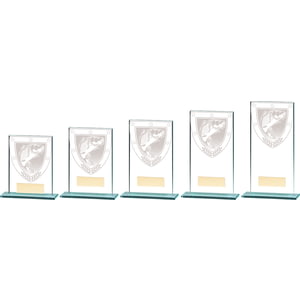 Millennium Fishing Glass Award