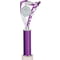 Frenzy Multisport Tube Trophy Silver & Purple