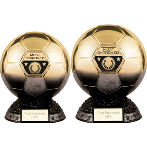 Elite Heavyweight Most Improved Award Black & Gold