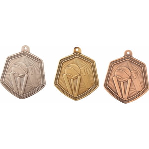 Falcon Cricket Medal