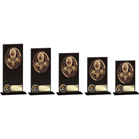 Maverick Fusion Motorsport Glass