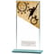 Mustang Swimming Glass Award