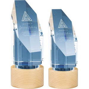 Solo Glass Award Clear & Beechwood