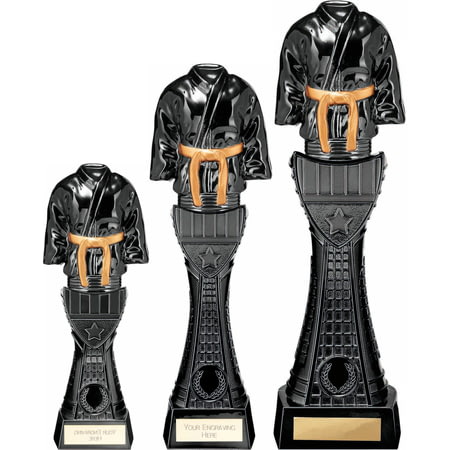 Viper Tower Martial Arts Award