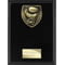 Cobra Plaque Boxing Award Epic