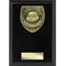 Cobra Plaque Thank you Coach Award Epic