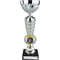 Energy Trophy Silver & Gold 295mm