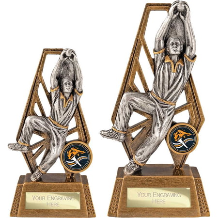 Immense Cricket Fielder Award Antique Gold & Silver 190mm