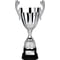 Spartan Cup