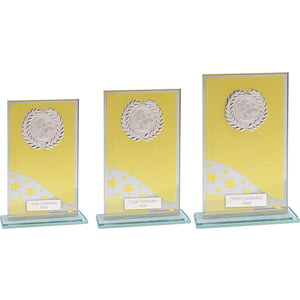 Sunstrike Glass Multisport Award