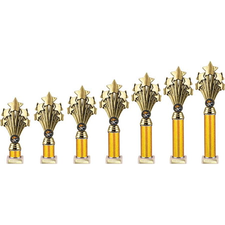 5 Star Multisport Tube Trophy