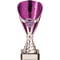 Rising Stars Premium Plastic Trophy Silver & Purple