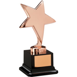 The Challenger Star Award