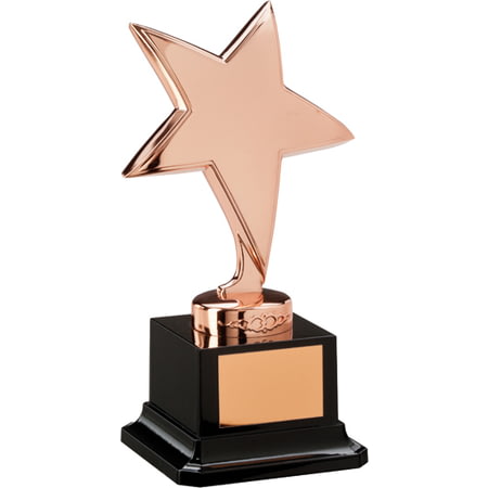 The Challenger Star Award