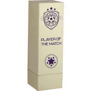 Prodigy Tower Player Of The Match Award Gold 160mm