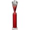 Rodeo Multisport Tube Trophy Silver & Red
