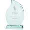 Synergy Jade Glass Award