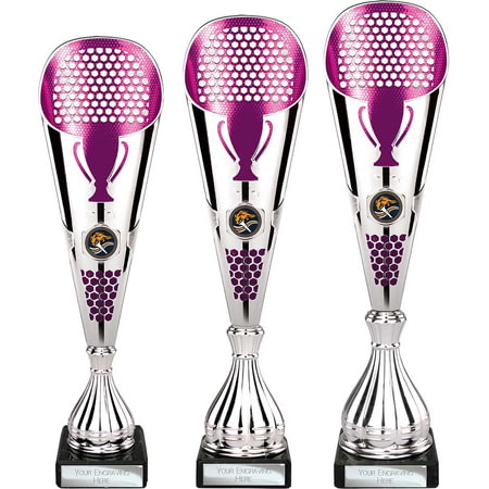 Eclectic Trophy Silver & Purple