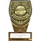 Fusion Cobra Player of Year Award Black & Gold