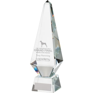 Monument Crystal Obelisk Award 260mm
