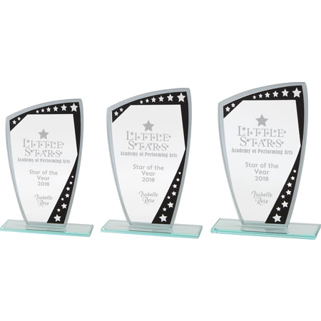 Cosmic Mirror Glass Award Black & Silver