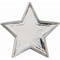 Scholar Pin Badge Star