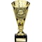 Cobra Star Cup Player of Year