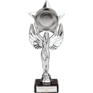 Victory Star Multisport Trophy Silver 210mm