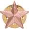 3D Star Pin Badge