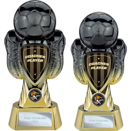 Tournament Heavyweight Coaches Player Carbon Black & Gold
