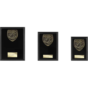 Cobra Plaque Music Award Epic