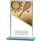 Mustang Squash Glass Award