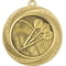 Superstar Darts Medal