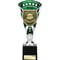 Cobra Star Cup Parents Player Silver & Green