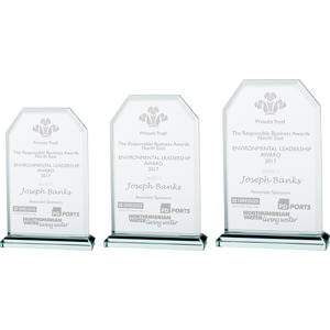 Executive Glass Award