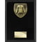 Cobra Plaque Martial Arts Gee Award Epic