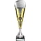 Eclectic Trophy Gold & Silver