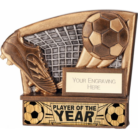 Vision Football Player of the Year Award 95mm