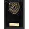 Cobra Plaque Music Award Epic