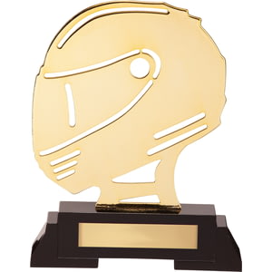 Arcadia Helmet Metal Award 190mm