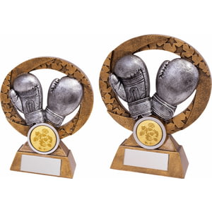 Revolution Boxing Award